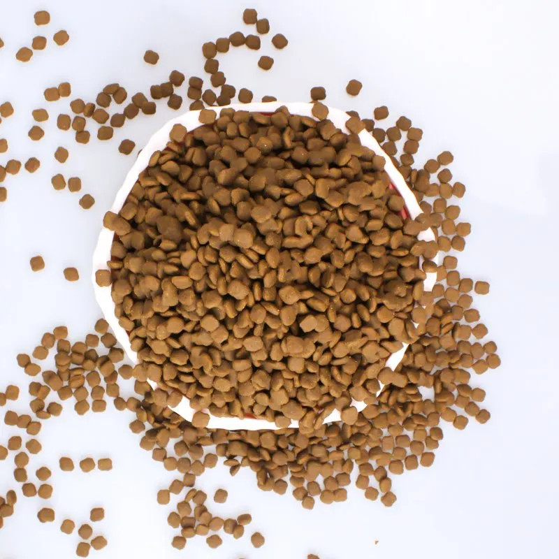 Bedste ernæringsmæssige hundefoder